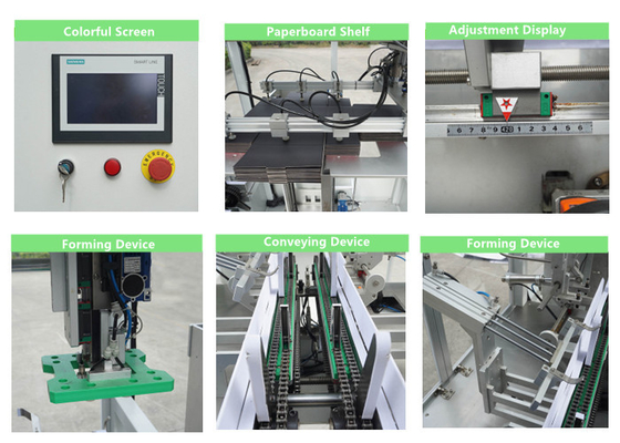 Forme de érection d'avions de carton de Tray Folding Box Machine Ridgid de carton