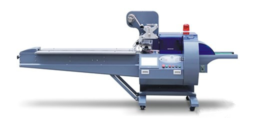 Machine de conditionnement automatique horizontale d'oreiller de gâteau de biscuit de machine d'emballage alimentaire