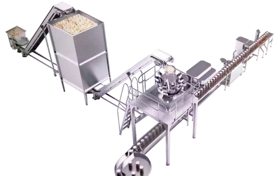 grande vitesse en plastique automatique de boîte de carton de la machine à emballer du matériel 304ss 5000g