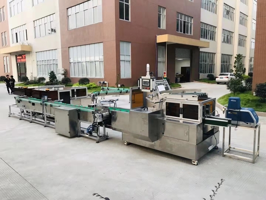 Industries électriques automatiques de casse-croûte de machine à emballer de carton de boîte petites
