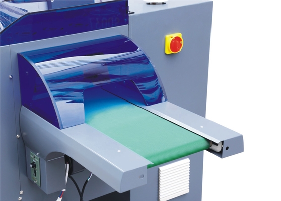 Machine de conditionnement automatique horizontale d'oreiller de gâteau de biscuit de machine d'emballage alimentaire